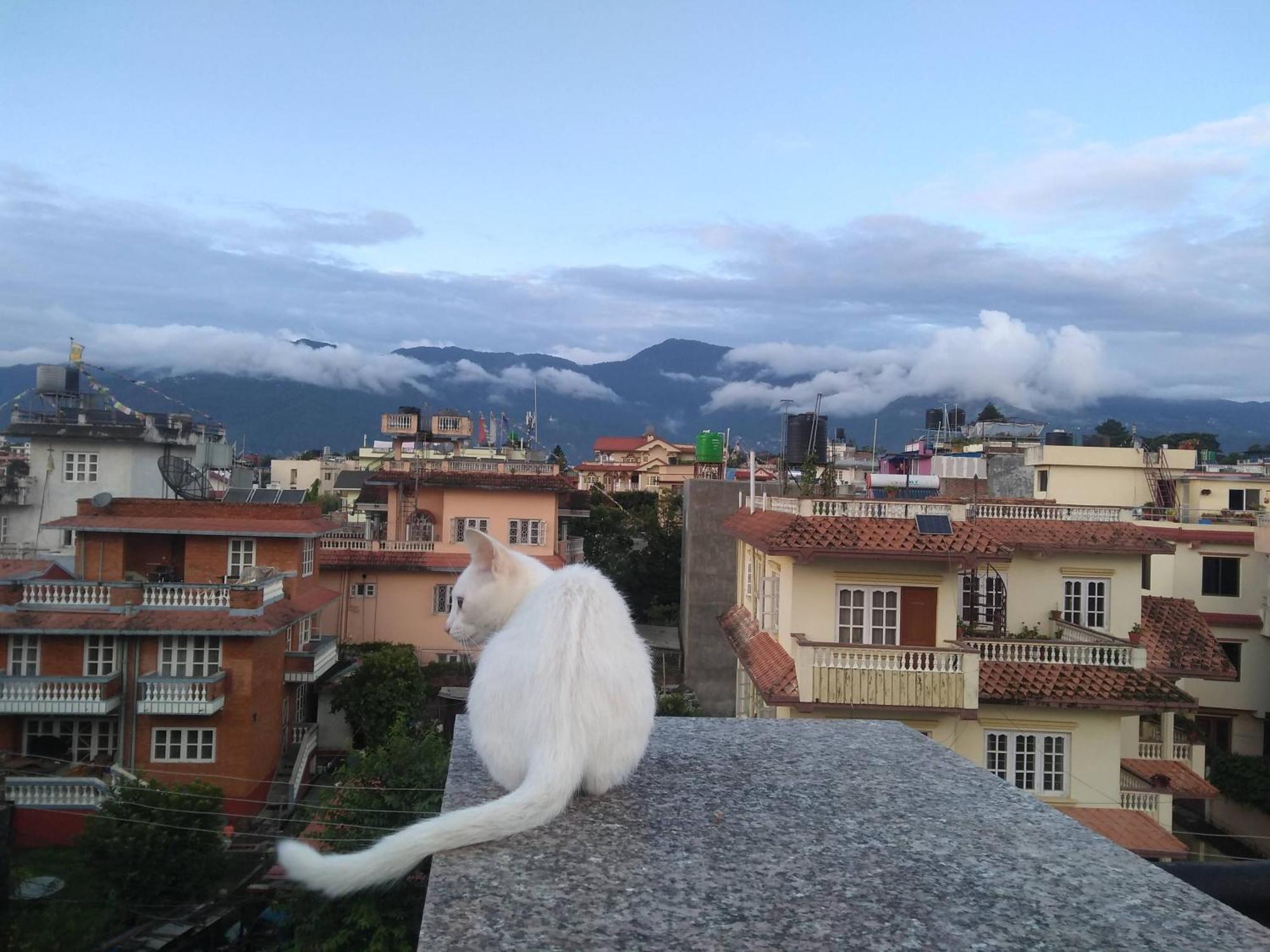 Family Home With Rooftop Access And Mountain View Kathmandu Exteriör bild
